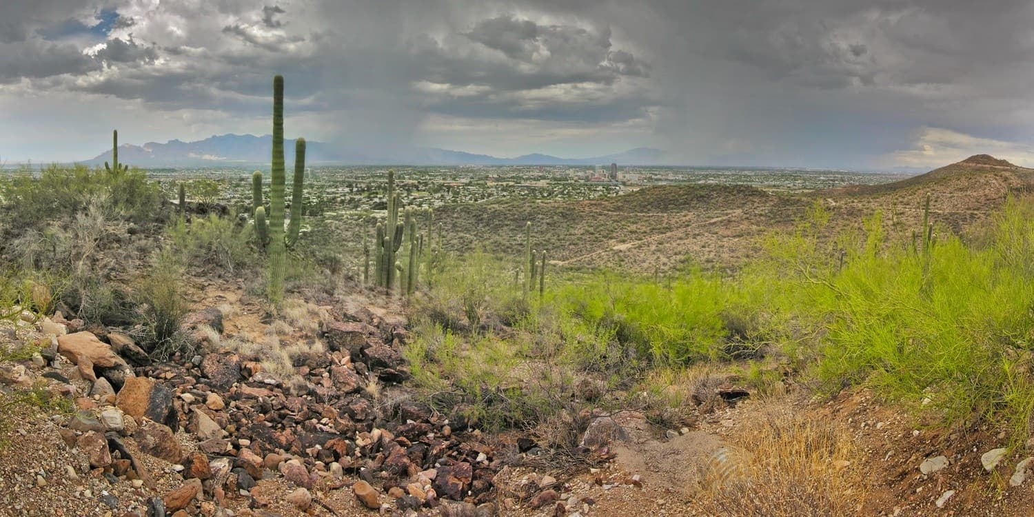 A panoramic view of a desert landscape featuring cacti, rocky terrain, and distant mountains under a cloudy sky. A panoramic view of a desert landscape featuring cacti, rocky terrain, and distant mountains under a cloudy sky.