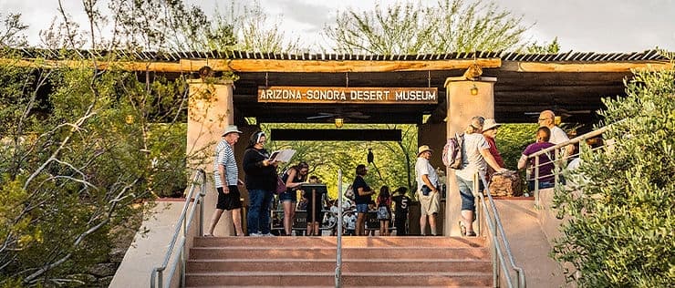 Visitors gather at the entrance of the Arizona-Sonora Desert Museum surrounded by lush greenery. Visitors gather at the entrance of the Arizona-Sonora Desert Museum surrounded by lush greenery.