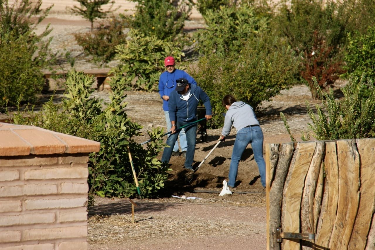 Three people working in a garden, digging and tending to plants.
